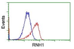 RNH1 Monoclonal Antibody (OTI4G4), TrueMAB , OriGene 100 &mu;L; Unconjugated:Antibodies,