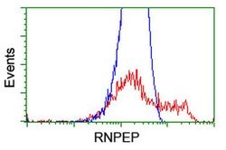 RNPEP Monoclonal Antibody (OTI3B5), TrueMAB , OriGene 100 &mu;L; Unconjugated:Antibodies,