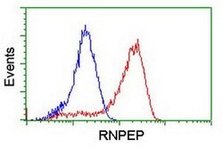 RNPEP Monoclonal Antibody (OTI3B5), TrueMAB , OriGene 100 &mu;L; Unconjugated:Antibodies,