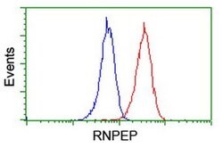 RNPEP Monoclonal Antibody (OTI3B5), TrueMAB , OriGene 100 &mu;L; Unconjugated:Antibodies,