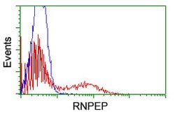 RNPEP Mouse anti-Human, Clone: OTI2G3, lyophilized, TrueMAB 100 &mu;g | Buy Online | OriGene | Fisher Scientific