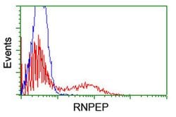 RNPEP Monoclonal Antibody (OTI2G3), TrueMAB , OriGene:Antibodies:Primary