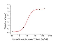 Invitrogen™ SARS-CoV-2 Spike Protein S1/S2 (aa11-1208), His Tag Recombinant Protein