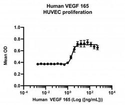 Invitrogen Human VEGF-165, AOF Recombinant Protein 100 &mu;g | Buy Online | Invitrogen&trade; | Fisher Scientific