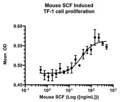 Invitrogen Mouse SCF, AOF Recombinant Protein:Proteínas recombinantes