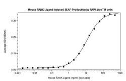 Invitrogen Mouse TRANCE (RANKL) Recombinant Protein 10 &mu;g | Buy Online | Invitrogen&trade; | Fisher Scientific
