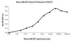 Invitrogen&trade;&nbsp;Mouse GM-CSF, Recombinant Protein 20&mu;g; Unlabeled 