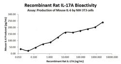 Invitrogen Rat IL-17A Recombinant Protein 25 &mu;g | Buy Online | Invitrogen&trade; | Fisher Scientific