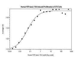 Invitrogen™ Human FGF-basic (FGF-2/bFGF) (154 aa) Recombinant Protein