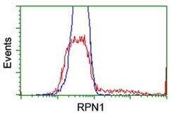 RPN1 Monoclonal Antibody (OTI6F2), TrueMAB , OriGene 100 &mu;L | Buy Online | Origene Technologies | Fisher Scientific