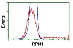 RPN1 Monoclonal Antibody (OTI3H3), TrueMAB , OriGene 30 &mu;L; Unconjugated:Antibodies,