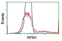 RPN1 Monoclonal Antibody (OTI5A1), TrueMAB , OriGene 100 &mu;L; Unconjugated:Antibodies,