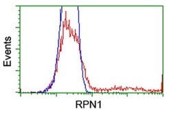 RPN1 Monoclonal Antibody (OTI6A9), TrueMAB , OriGene:Antibodies:Primary