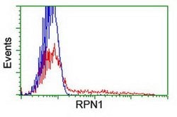 RPN1 Monoclonal Antibody (OTI2G9), TrueMAB , OriGene 30 &mu;L; Unconjugated:Antibodies,