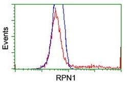 RPN1 Mouse anti-Canine, Human, Clone: OTI2G1, lyophilized, TrueMAB 100