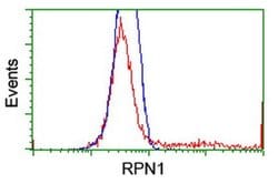 RPN1 Monoclonal Antibody (OTI2G1), TrueMAB , OriGene 30 &mu;L; Unconjugated:Antibodies,