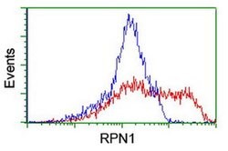 RPN1 Monoclonal Antibody (OTI5B1), TrueMAB , OriGene 100 &mu;L; Unconjugated:Antibodies,