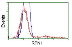 RPN1 Monoclonal Antibody (OTI2E3), TrueMAB , OriGene 100 &mu;L; Unconjugated:Antibodies,