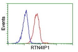RTN4IP1 Mouse anti-Human, Clone: OTI1B2, lyophilized, TrueMAB 100 &mu;g;