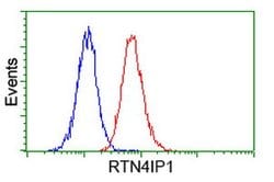 RTN4IP1 Mouse anti-Human, Clone: OTI1B2, lyophilized, TrueMAB 100 &mu;g;