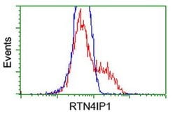 RTN4IP1 Monoclonal Antibody (OTI3B2), TrueMAB , OriGene 30 &mu;L; Unconjugated:Antibodies,