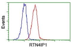 RTN4IP1 Monoclonal Antibody (OTI3B2), TrueMAB , OriGene 30 &mu;L; Unconjugated:Antibodies,