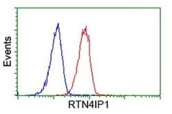 RTN4IP1 Monoclonal Antibody (OTI1E1), TrueMAB , OriGene 100 &mu;L; Unconjugated:Antibodies,