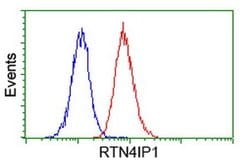RTN4IP1 Monoclonal Antibody (OTI1E1), TrueMAB , OriGene 100 &mu;L; Unconjugated:Antibodies,