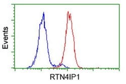 RTN4IP1 Mouse anti-Human, Clone: OTI2A9, lyophilized, TrueMAB 100 &mu;g;