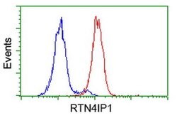 RTN4IP1 Monoclonal Antibody (OTI2A9), TrueMAB , OriGene:Antibodies:Primary