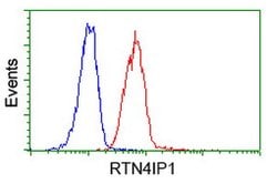 RTN4IP1 Mouse anti-Human, Clone: OTI2A9, lyophilized, TrueMAB 100 &mu;g;