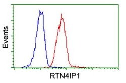 RTN4IP1 Monoclonal Antibody (OTI2A9), TrueMAB , OriGene 100 &mu;L; Unconjugated:Antibodies,