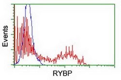 RYBP Monoclonal Antibody (OTI1B6), TrueMAB , OriGene 100 &mu;L; Unconjugated:Antibodies,