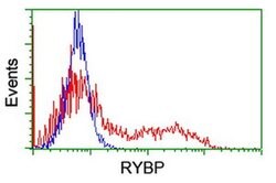 RYBP Monoclonal Antibody (OTI2H9), TrueMAB , OriGene:Antibodies:Primary
