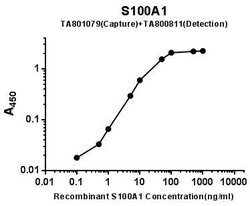 S100A1 Mouse anti-Human, Clone: OTI6G4, lyophilized, TrueMAB 100 &mu;g;