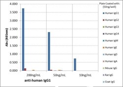 Invitrogen Rabbit anti-Human IgG1 Recombinant Secondary Antibody 100 &mu;g;
