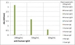 Invitrogen Rabbit anti-Human IgG3 Recombinant Secondary Antibody 100 &mu;g;