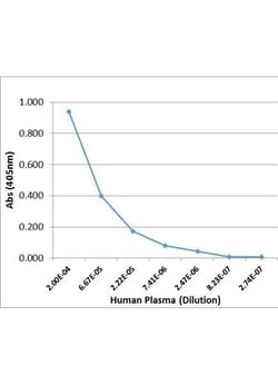 Invitrogen Rabbit anti-Human IgG4 Fc Recombinant Secondary Antibody 100