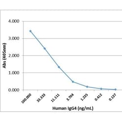 Invitrogen Rabbit anti-Human IgG4 Fc Recombinant Secondary Antibody 100