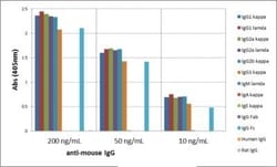 Invitrogen Rabbit anti-Mouse IgG Fc Recombinant Secondary Antibody 100