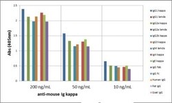Invitrogen Rabbit anti-Mouse Kappa Light Chain Recombinant Secondary Antibody