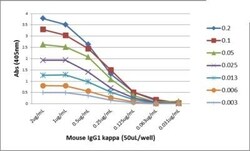 Invitrogen Rabbit anti-Mouse Kappa Light Chain Recombinant Secondary Antibody