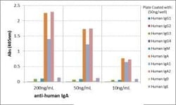 Invitrogen Rabbit anti-Human IgA1/IgA2 Recombinant Secondary Antibody 100