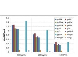Invitrogen Goat anti-Mouse IgG Fc Recombinant Secondary Antibody 100 μg;