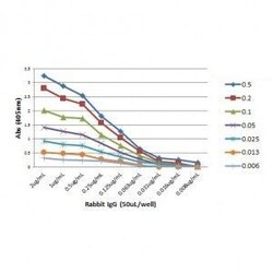 Invitrogen Goat anti-Rabbit IgG Fc Recombinant Secondary Antibody 100 &mu;g;