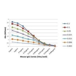 Invitrogen Rabbit anti-Mouse Lambda Light Chain Recombinant Secondary Antibody,
