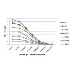 Invitrogen Rabbit anti-Mouse Kappa Light Chain Recombinant Secondary Antibody,