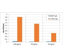 Invitrogen Rabbit anti-Mouse IgG2c Recombinant Secondary Antibody, Biotin