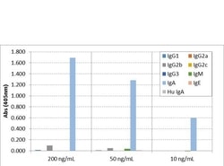 Invitrogen Rabbit anti-Mouse IgA Recombinant Secondary Antibody, Biotin