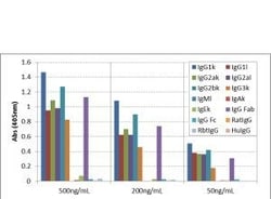 Invitrogen Goat anti-Mouse IgG Fab Recombinant Secondary Antibody, Biotin